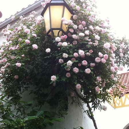 Patio Das Flores Bed and Breakfast Ferreira Do Alentejo Exterior foto