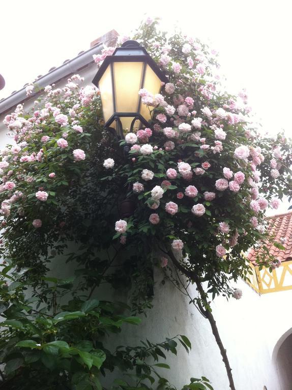 Patio Das Flores Bed and Breakfast Ferreira Do Alentejo Exterior foto