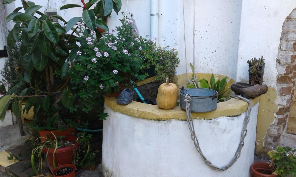 Patio Das Flores Bed and Breakfast Ferreira Do Alentejo Exterior foto